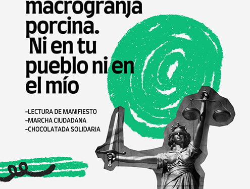 Convocada una concentración en Ledaña contra el proyecto de macrogranja porcina 1 Convocada una concentración en Ledaña contra el proyecto de macrogranja porcina