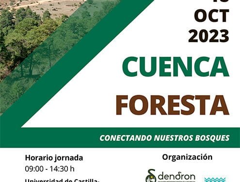 Cuenca acogerá un seminario para explorar las oportunidades de desarrollo sostenible y los recursos forestales de la provincia