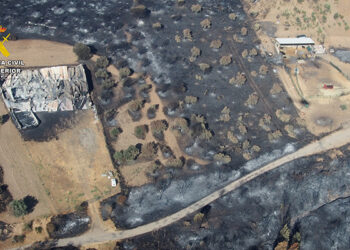 Detenido al supuesto autor del incendio de Valdepeñas de la Sierra ocurrido en el año 2022