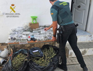 Detenido en Sacedón por tráfico de drogas