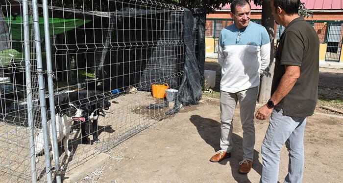 El Albergue Provincial de Animales de la Diputación de Cuenca ha llevado a cabo 100 adopciones durante el último año 1 El Albergue Provincial de Animales de la Diputación de Cuenca ha llevado a cabo 100 adopciones durante el último año