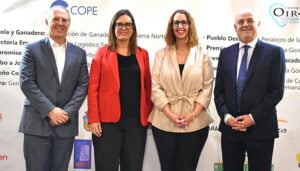 El Gobierno de Castilla-La Mancha destaca que el nuevo récord de empleo es “un éxito colectivo”