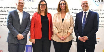 El Gobierno de Castilla-La Mancha destaca que el nuevo récord de empleo es “un éxito colectivo”