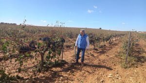 El Gobierno regional abona 45,7 millones de euros del anticipo de la PAC a más de 14.000 agricultores de la provincia de Cuenca