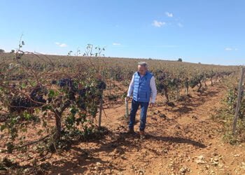 La Junta abona 45,7 millones de euros del anticipo de la PAC a más de 14.000 agricultores de la provincia de Cuenca