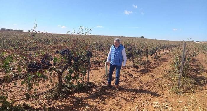 La Junta abona 45,7 millones de euros del anticipo de la PAC a más de 14.000 agricultores de la provincia de Cuenca 1 El Gobierno regional abona 45,7 millones de euros del anticipo de la PAC a más de 14.000 agricultores de la provincia de Cuenca