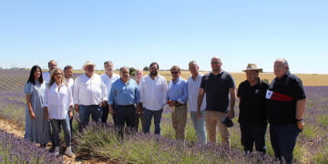 El PP de Guadalajara muestra su satisfacción por la exclusión de las plantas aromáticas como productos tóxicos como se pretendía con el ‘Pacto Verde’