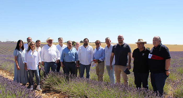 El PP de Guadalajara muestra su satisfacción por la exclusión de las plantas aromáticas como productos tóxicos como se pretendía con el ‘Pacto Verde’ 1 El PP de Guadalajara muestra su satisfacción por la exclusión de las plantas aromáticas como productos tóxicos como se pretendía con el ‘Pacto Verde’