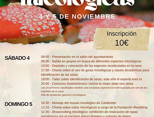 El Recuenco organiza unas jornadas micológicas para el 4 y 5 de noviembre 1 El Recuenco organiza unas jornadas micológicas para el 4 y 5 de noviembre
