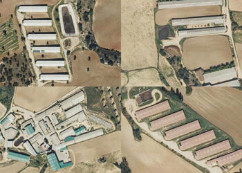 El TSJCM condena a la Junta a retirar la autorización a una macrogranja de Huerta de la Obispalía por deficiencias en la evaluación ambiental