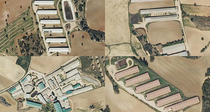 El TSJCM condena a la Junta a retirar la autorización a una macrogranja de Huerta de la Obispalía por deficiencias en la evaluación ambiental 1 El TSJCM condena a la Junta a retirar la autorización a una macrogranja de Huerta de la Obispalía por deficiencias en la evaluación ambiental