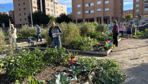 En marcha en Cuenca la nueva convocatoria de uso de los huertos sociales para 2024-2025