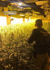 La Guardia Civil de Guadalajara detiene a cuatro personas pertenecientes a un grupo criminal dedicado al cultivo de marihuana