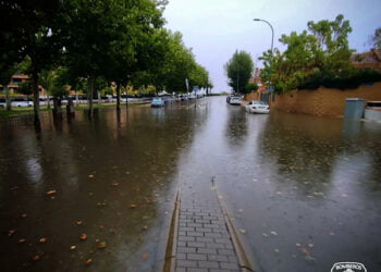 Guadalajara ha registrado 14 incidencias por inundaciones durante la madrugada del viernes Guadalajara ha registrado 14 incidencias por inundaciones durante la madrugada del viernes