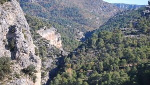 Tres montes pertenecientes a la Mancomunidad de propietarios de Montes particulares de Cañizares se asocian bajo un mismo Grupo de Certificación FSC