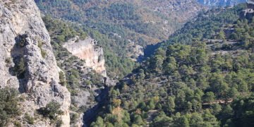 Tres montes pertenecientes a la Mancomunidad de propietarios de Montes particulares de Cañizares se asocian bajo un mismo Grupo de Certificación FSC