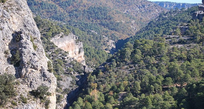 Tres montes pertenecientes a la Mancomunidad de propietarios de Montes particulares de Cañizares se asocian bajo un mismo Grupo de Certificación FSC