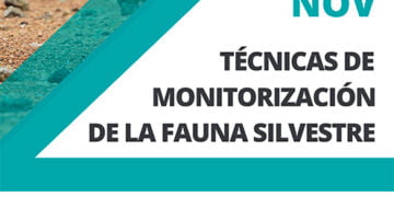 UFIL organiza un curso de técnicas de monitorización de la fauna silvestre