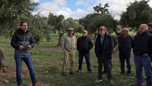 Acciona Energía presenta  su proyecto para revitalizar la cooperativa de aceite en Villalba del Rey
