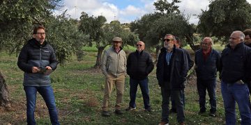 Acciona Energía presenta  su proyecto para revitalizar la cooperativa de aceite en Villalba del Rey