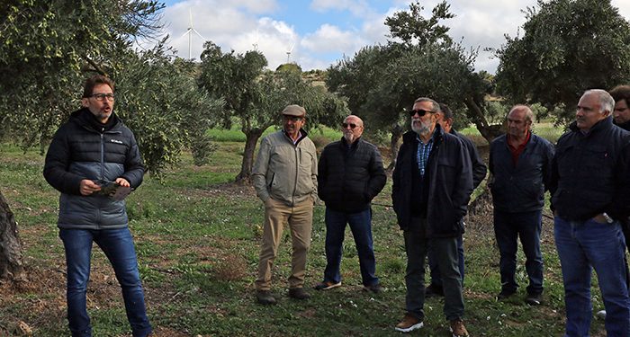 Acciona Energía presenta su proyecto para revitalizar la cooperativa de aceite en Villalba del Rey 1 Acciona Energía presenta su proyecto para revitalizar la cooperativa de aceite en Villalba del Rey