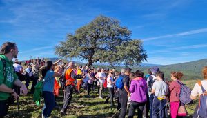 Campiñeando celebra el comienzo de su quinta temporada con una ruta circular en Valdepeñas de la Sierra