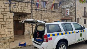 Decomisan más de 150 kilos de setas cogidas ilegalmente en la Sierra Norte de Guadalajara