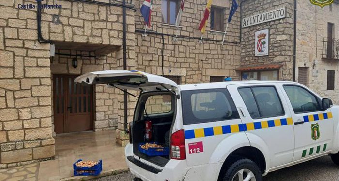 Decomisan más de 150 kilos de setas cogidas ilegalmente en la Sierra Norte de Guadalajara