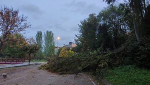 Desactivado el Plan Específico por Fenómenos Meteorológicos Adversos (METEOCAM)