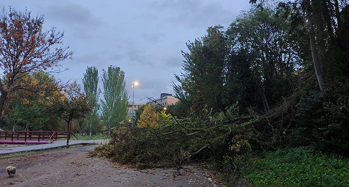 Desactivado el Plan Específico por Fenómenos Meteorológicos Adversos (METEOCAM) 1 Desactivado el Plan Específico por Fenómenos Meteorológicos Adversos (METEOCAM)