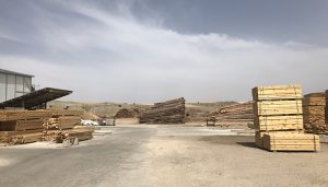 El Ayuntamiento de Cuenca abre la convocatoria para la concesión de leña para hogares en riesgo de exclusión social