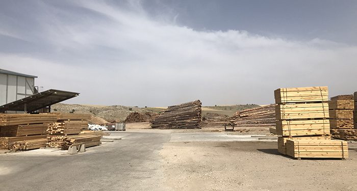 El Ayuntamiento de Cuenca abre la convocatoria para la concesión de leña para hogares en riesgo de exclusión social 1 El Ayuntamiento de Cuenca abre la convocatoria para la concesión de leña para hogares en riesgo de exclusión social