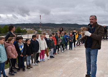 El Centro de Recuperación de la Fauna Silvestre de Cuenca ha devuelto 141 animales al medio natural en 2023, el 51 por ciento de los que ha atendido