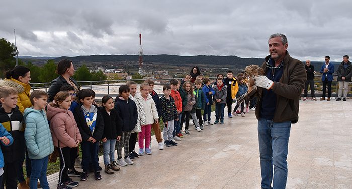 El Centro de Recuperación de la Fauna Silvestre de Cuenca ha devuelto 141 animales al medio natural en 2023, el 51 por ciento de los que ha atendido