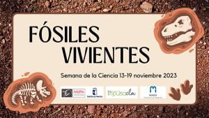 El MUPA toma el relevo y celebrará la Semana de la Ciencia del 14 al 19 de noviembre con varias actividades