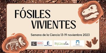 El MUPA toma el relevo y celebrará la Semana de la Ciencia del 14 al 19 de noviembre con varias actividades