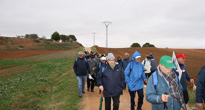 La Junta retoma una nueva edición de las rutas saludables ‘7000pasosX’ 1 El programa “7000pasosX” Valverde de Júcar ha desafía al mal tiempo con más de un centenar de participantes