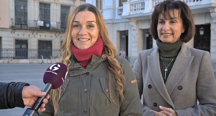 El PSOE en el Ayuntamiento de Guadalajara urge a Guarinos a que reanude el Consejo Municipal de la Infancia y Adolescencia