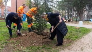 Guarinos aesgura que todos los alcorques vacíos tendrán un árbol y los árboles muertos serán árboles vivos en Guadalajara en este mandato”
