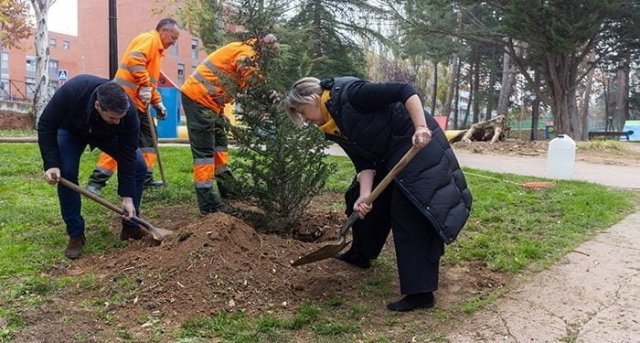 Guarinos aesgura que todos los alcorques vacíos tendrán un árbol y los árboles muertos serán árboles vivos en Guadalajara en este mandato”