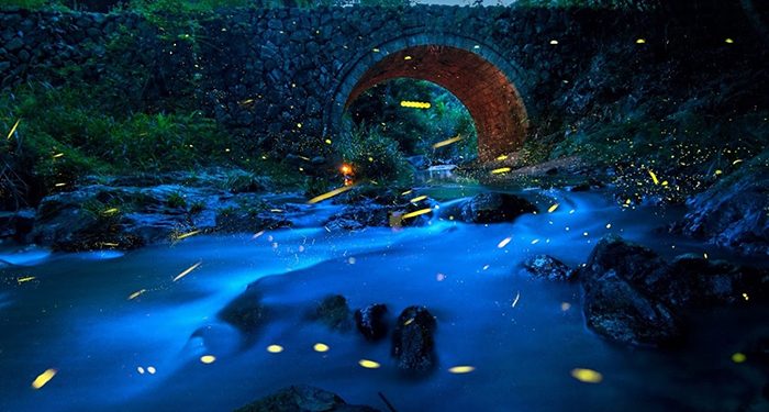 Huawei anuncia los ganadores de los Premios XMAGE 2023 1 Huawei anuncia los ganadores de los Premios XMAGE 2023