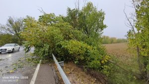 Precaución en Cuenca. Ráfagas de viento de más de 90 km/h. Árboles caídos 3 img 20231102 162137
