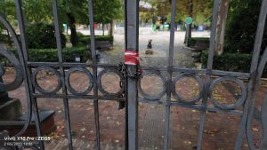 Precaución en Cuenca. Ráfagas de viento de más de 90 km/h. Árboles caídos 2 img 20231102 180651