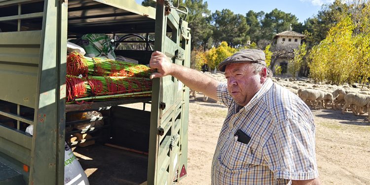 Trashumancia. El buen pastor en la sexta etapa