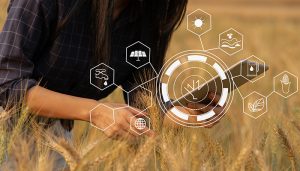 Información y soluciones de Eurocaja Rural para la PAC 2024