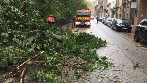 La borrasca Ciarán deja contenedores, árboles, ramas y cascotes por la ciudad de Cuenca