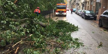 La borrasca Ciarán deja contenedores, árboles, ramas y cascotes por la ciudad de Cuenca