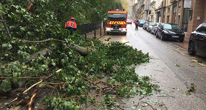 La borrasca Ciarán deja contenedores, árboles, ramas y cascotes por la ciudad de Cuenca