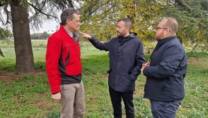 La Junta destinará 1,1 millones para restaurar 449 hectáreas afectadas por incendios forestales en la provincia de Guadalajara