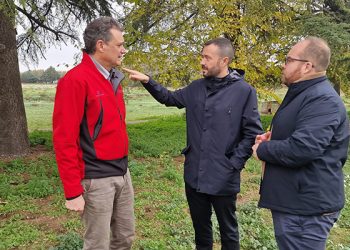 La Junta destinará 1,1 millones para restaurar 449 hectáreas afectadas por incendios forestales en la provincia de Guadalajara La Junta destinará 1,1 millones para restaurar 449 hectáreas afectadas por incendios forestales en la provincia de Guadalajara